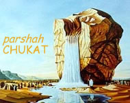 This Week's Parshah: Chukat